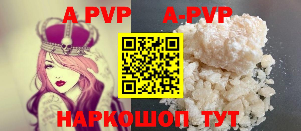 Альфа ПВП СК КРИС Сочи
