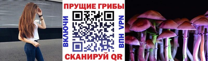 OMG как войти  как найти наркотики  Сочи  Галлюциногенные грибы MAGIC MUSHROOMS 