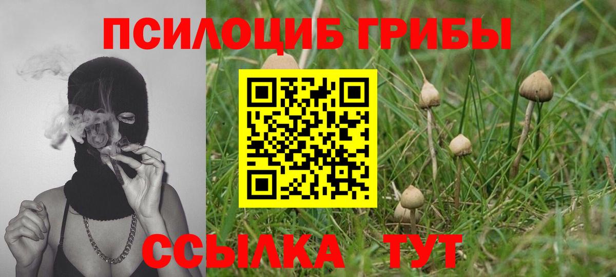 Сочи  Псилоцибиновые грибы Psilocybine cubensis  Вход с VPN  Псилоцибиновые грибы Psilocybe 